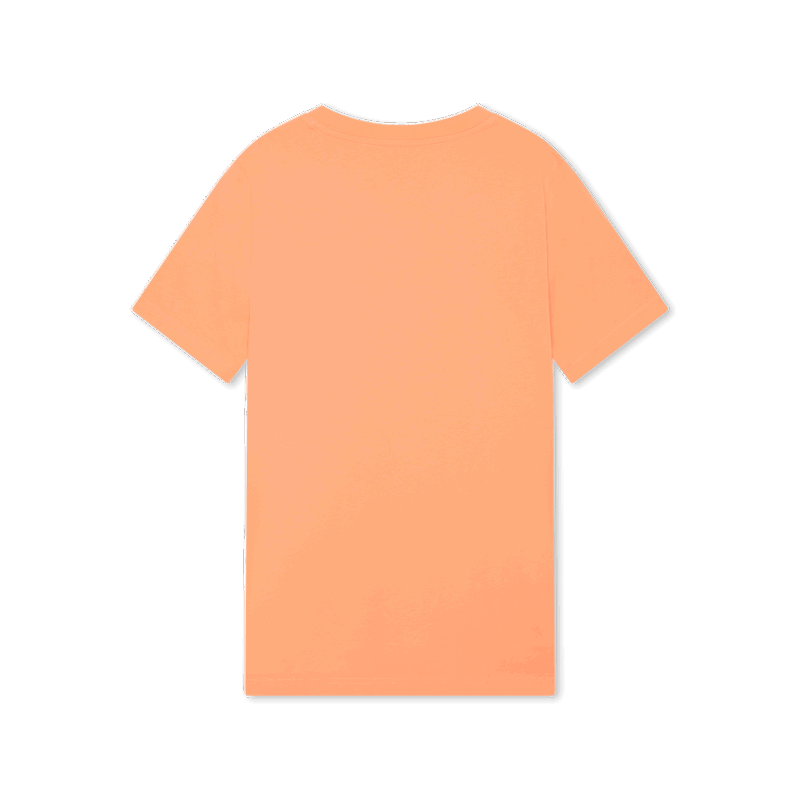 Duotone Tee SS Originals small Graphic men · foto 6