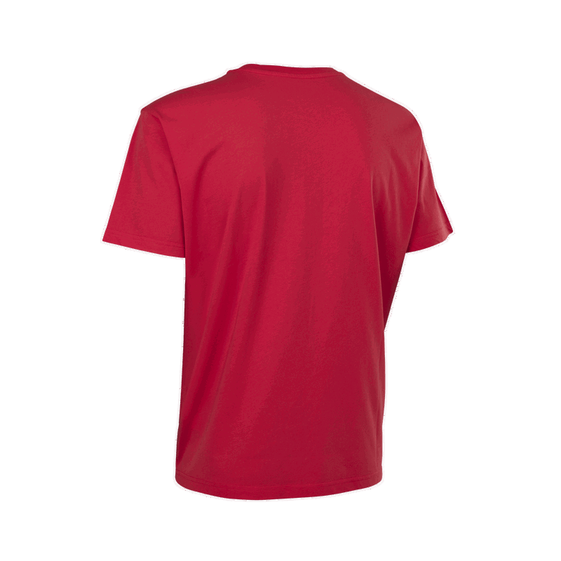 ION Tee Ionic SS men · foto 6