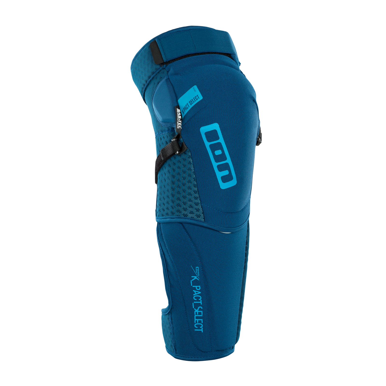 Ion