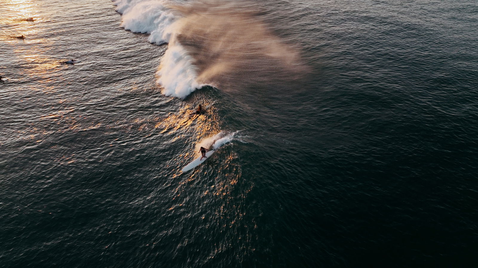 【新品未開封】piping color roomwear （ladies） 新品未開封】piping color roomwear （ladies）