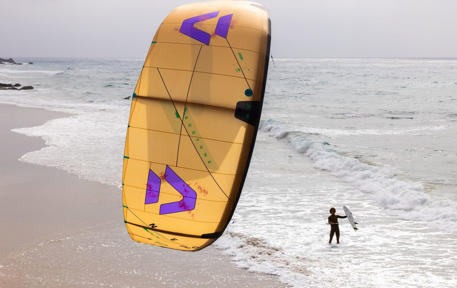 Duotone Whip D/LAB 2026 | Ultimate Small Wave and Freestyle Board